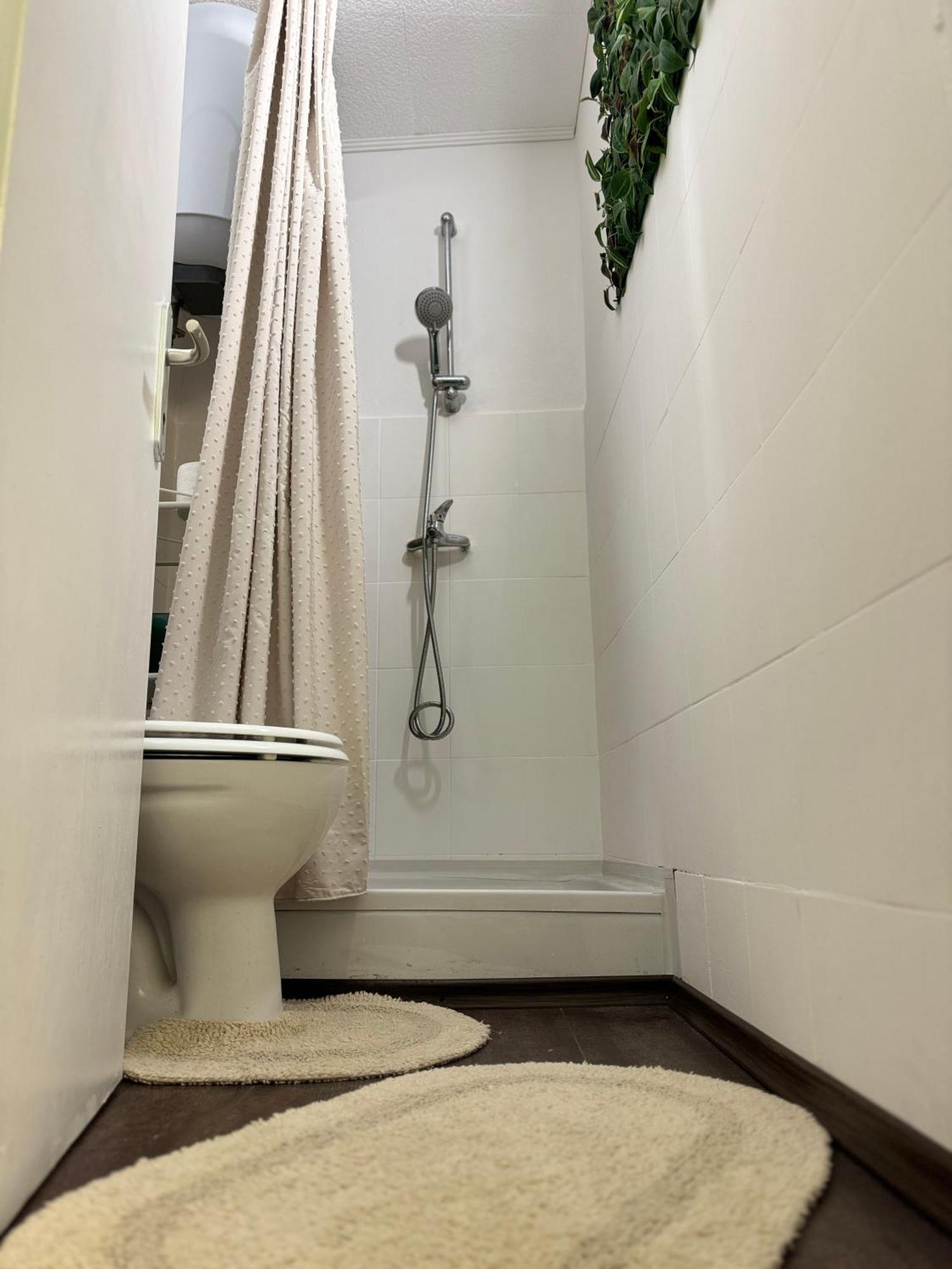 Oh La La Apartment Old Town Rovinj Bagian luar foto